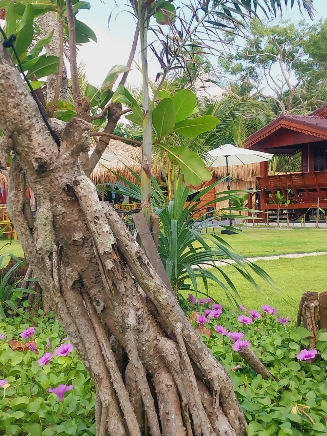 Walden Koh Lanta - Tiny Homes By The Sea Dış mekan fotoğraf