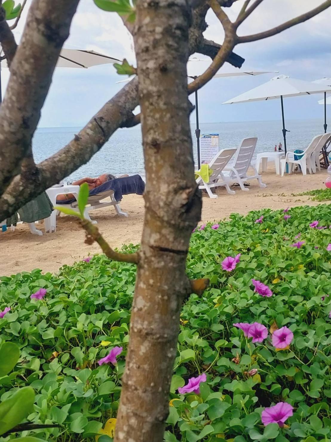 Walden Koh Lanta - Tiny Homes By The Sea Dış mekan fotoğraf